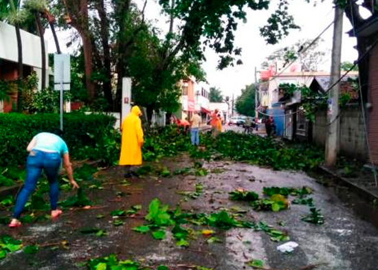 Tornado derriba árboles y afecta viviendas en Mao