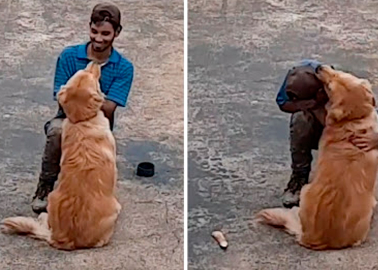 VÍDEO: Albañil fue sorprendido con abrazo de perrita en su primer día de trabajo