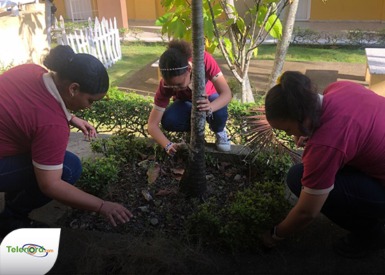 Realizan jornada de  recogida de desechos sólidos y siembra de árboles en apoyo a la "Semana Saludable"