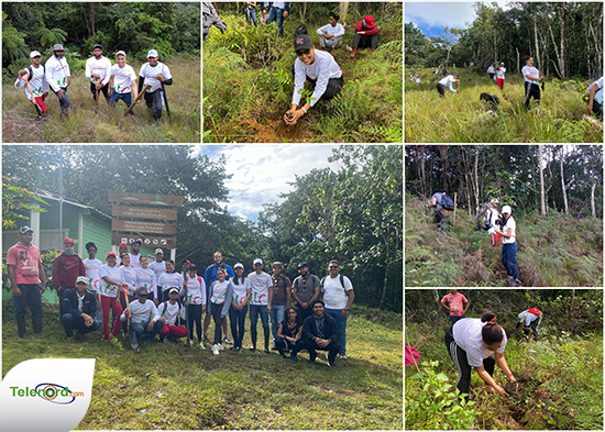 Semana Saludable realiza jornada de reforestación en la Loma La Canela