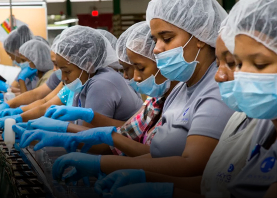 Reforma al Código Trabajo: cesantía y burocracia dividen a trabajadores y empresarios