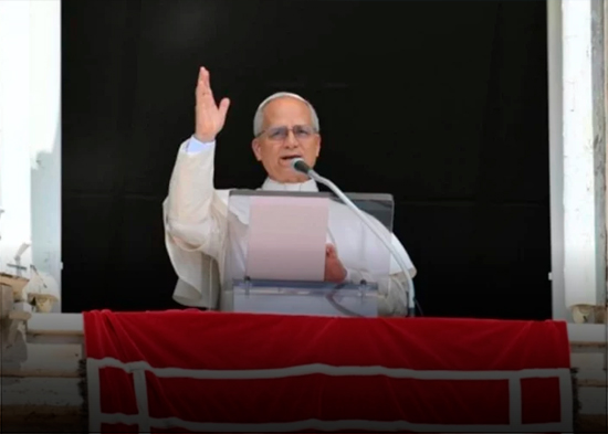 El papa agradece la defensa de la vida desde la concepción en belén de artista