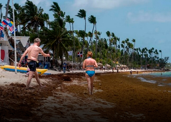 ONU aprueba histórica resolución sobre el sargazo impulsada por República Dominicana