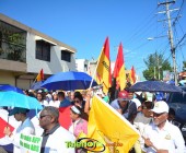 DSC 4446 DSC 4446
