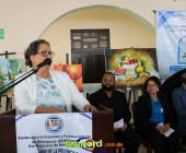 IMG 4486 IMG 4486
