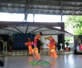 DSC 6644 DSC 6644