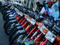 DSC 7833