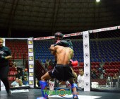 DSC 1930 DSC 1930