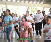 DSC 2033 DSC 2033
