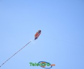 Telenord248 Telenord248