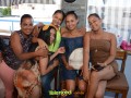 Telenordcomdo00064