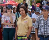Telenordcomdo00044