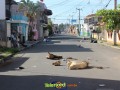 Image00006