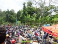 DSC 5237