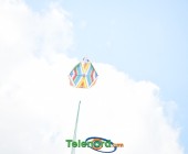 telenord276