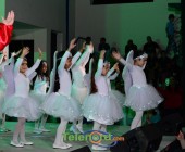 telenord00284 telenord00284