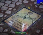 telenord290