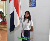 telenord033 telenord033
