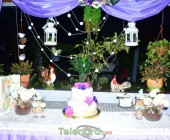 telenord00132 telenord00132