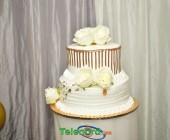 telenord044 telenord044