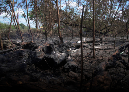 En 10 horas controlaron incendio en San Pedro de Macorís