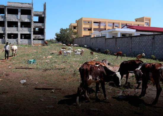 Escuela de La Caleta convertida en corral