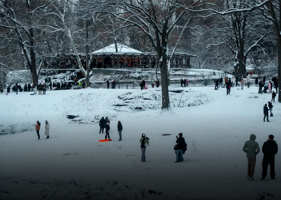 Tormentas invernales provocan la cancelación de miles de vuelos en todo Estados Unidos