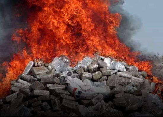 Inacif dice quemó 470 kilos de drogas