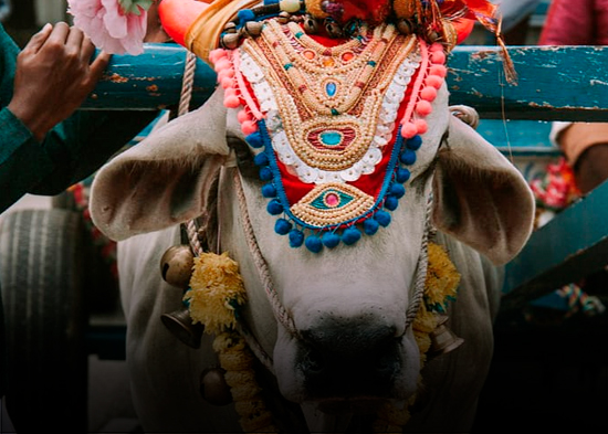 Editorial de NTN: “Discriminando al Viratala”