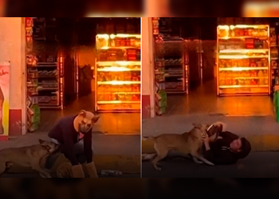 VIDEO: Así reacciona un perro real ante un 'therian'