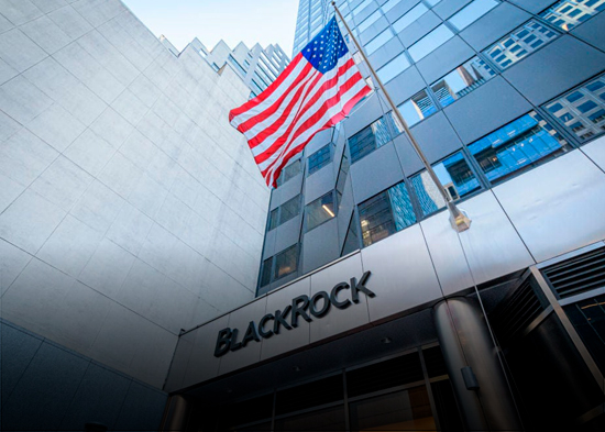 Editorial de NTN: “Hacer el bulto”