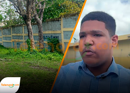 Estudiantes y FJD alertan sobre pared a punto de colapsar en el Liceo Ercilia Pepín de SFM