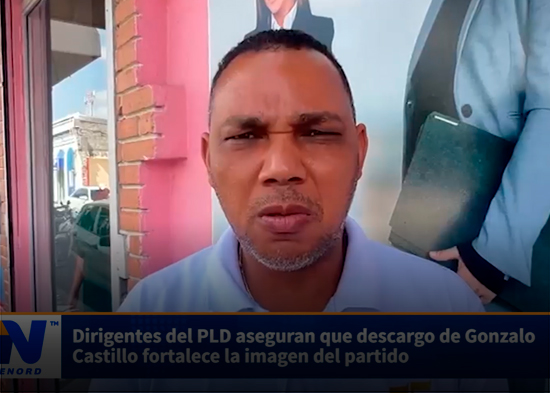 Dirigentes del PLD aseguran que descargo de Gonzalo Castillo fortalece la imagen del partido