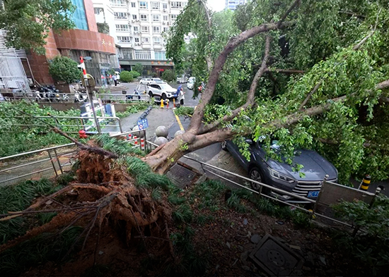 El tifón Dolphin deja lluvias récord y más de 1,6 millones de evacuados en China