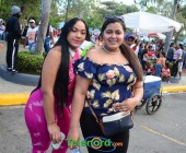 DSC 8954 DSC 8954