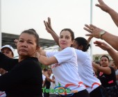 DSC 6923 DSC 6923