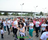 DSC 6995 DSC 6995