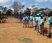 IMG 7229 IMG 7229