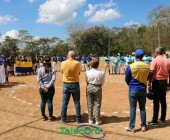 IMG 7237 IMG 7237