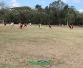 IMG 7377 IMG 7377