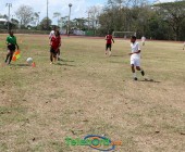 IMG 7378 IMG 7378
