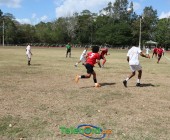 IMG 7379 IMG 7379