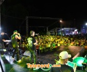 telenord00315