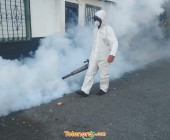 telenord006