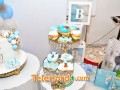 imagen00084