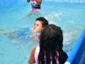 imagen00161