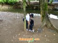 telenord00100