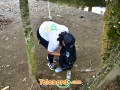 telenord00104