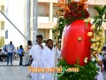 imagen00234