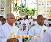 imagen00239